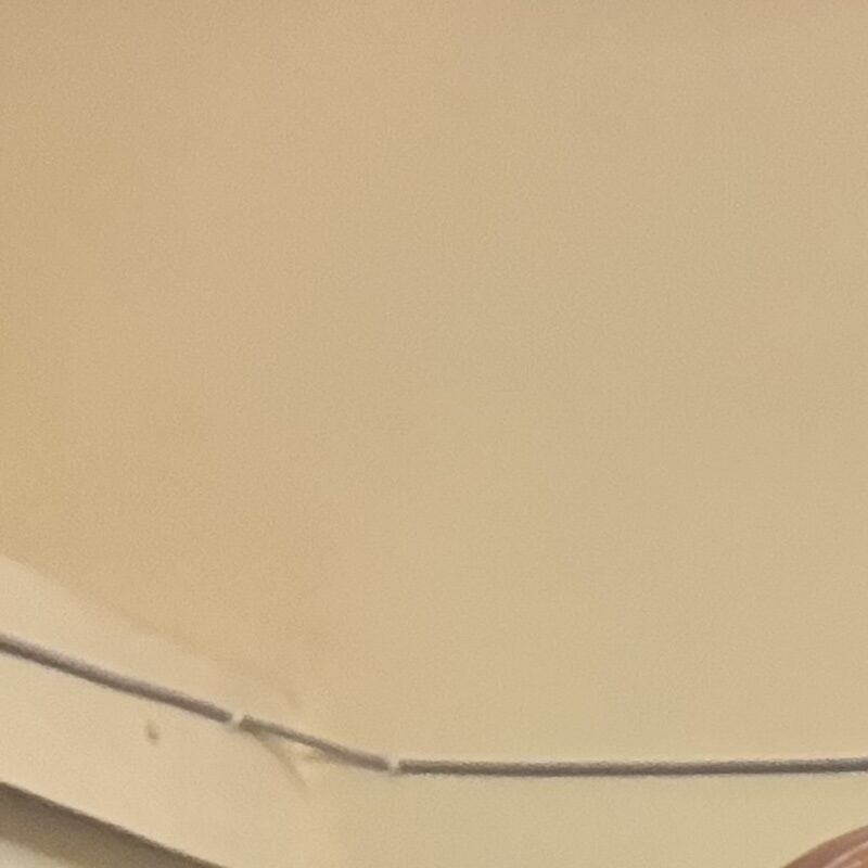 Profile picture of Tanmoytst